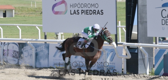 Sábado 20 de Febrero de 2016 - Hipódromo Las Piedras