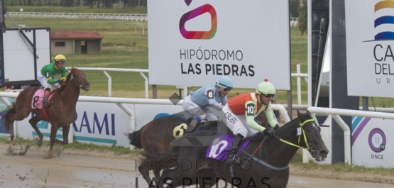 Domingo 17 de diciembre de 2017 - Hipódromo Las Piedras