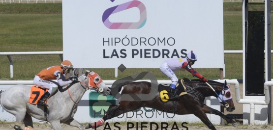 Sábado 13 de abril de 2019 - Hipódromo Las Piedras