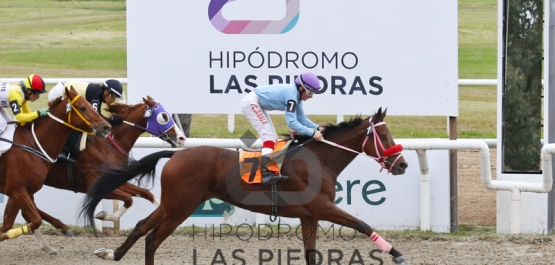 Sábado 11 de mayo de 2019 - Hipódromo Las Piedras