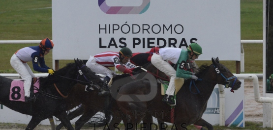 Sábado 15 de junio de 2019 - Hipódromo Las Piedras
