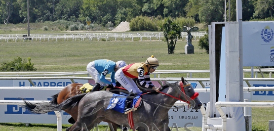 Domingo 8 de febrero de 2026 - Hipódromo Nacional de Maroñas