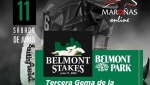 Belmont Stakes 2022