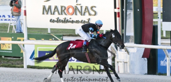 Gran Premio Polla de Potrancas