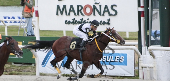Handicap Especial ¡Socorro!