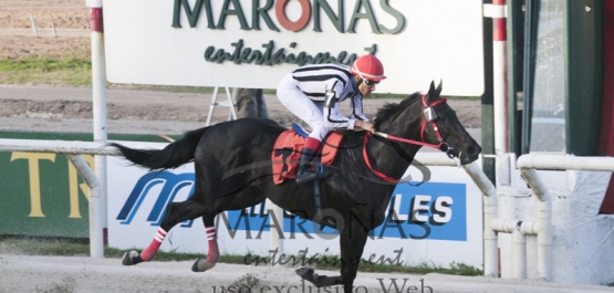 HANDICAP ESPECIAL ECUADOR