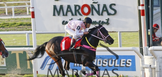 Clásico Reapertura Hipódromo Nacional de Maroñas