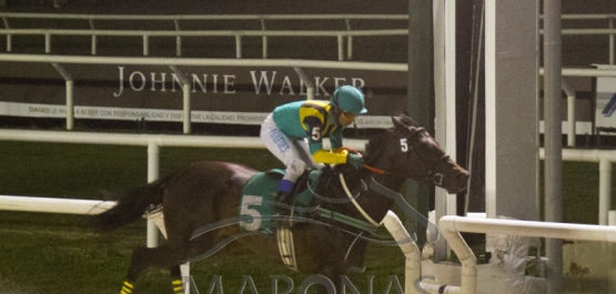 HANDICAP ESPECIAL FRANCISCO ANAYA