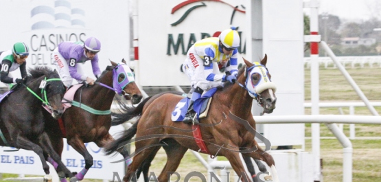 HANDICAP ESPECIAL COLOMBIA