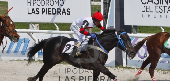 PREFERENCIAL "MANO BLANCA"