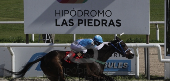 PREFERENCIAL PABLO G. FALERO