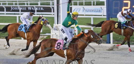 GRAN PREMIO NACIONAL (URU G1)