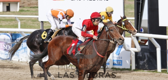 Sábado 1º de Agosto de 2015 - Hipódromo Las Piedras