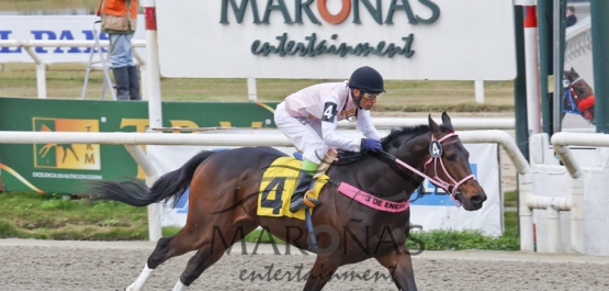 Domingo 2 de Agosto de 2015 - Hipódromo Nacional de Maroñas