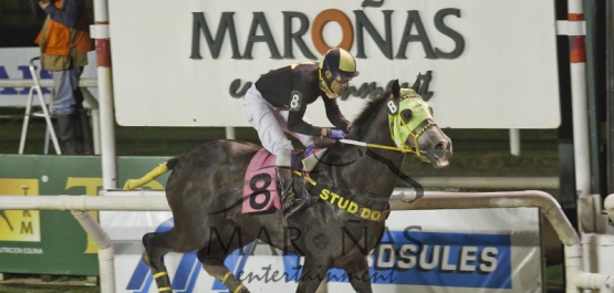 Sábado 8 de Agosto de 2015 - Hipódromo Nacional de Maroñas