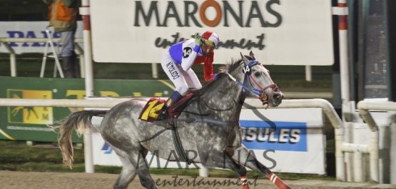 Sábado 15 de Agosto de 2015 - Hipódromo Nacional de Maroñas