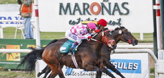 Domingo 16 de Agosto de 2015 - Hipódromo Nacional de Maroñas