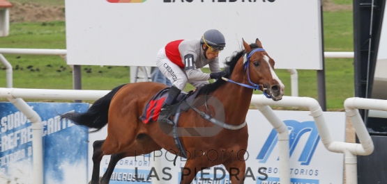 Sábado 22 de Agosto de 2015 - Hipódromo Las Piedras