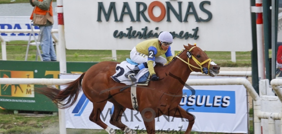 Domingo 23 de Agosto de 2015 - Hipódromo Nacional de Maroñas