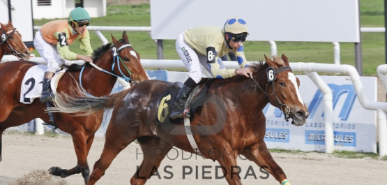 Sábado 29 de Agosto de 2015 - Hipódromo Las Piedras