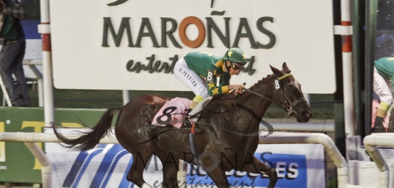 Sábado 29 de Agosto de 2015 - Hipódromo Nacional de Maroñas