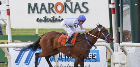 Domingo 30 de Agosto de 2015 - Hipódromo Nacional de Maroñas