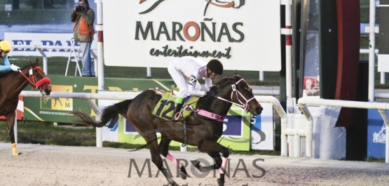 Domingo 6 de Setiembre de 2015 - Hipódromo Nacional de Maroñas