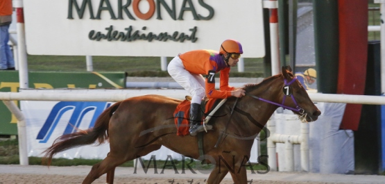 Sábado 12 de Setiembre de 2015 - Hipódromo Nacional de Maroñas