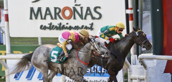 Sábado 19 de Setiembre de 2015 - Hipódromo Nacional de Maroñas