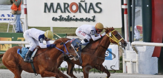 Clásico Criadores Nacionales