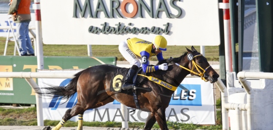 Domingo 20 de Setiembre de 2015 - Hipódromo Nacional de Maroñas