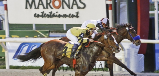 Sábado 26 de Setiembre de 2015 - Hipódromo Nacional de Maroñas