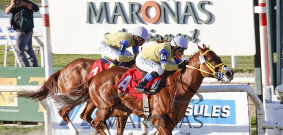 Domingo 27 de Setiembre de 2015 - Hipódromo Nacional de Maroñas