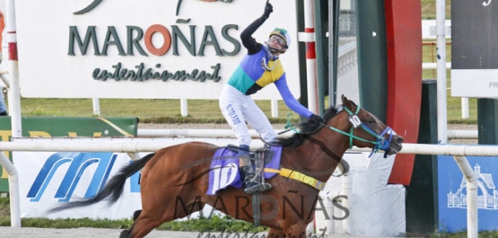 Domingo 4 de Octubre de 2015 - Hipódromo Nacional de Maroñas