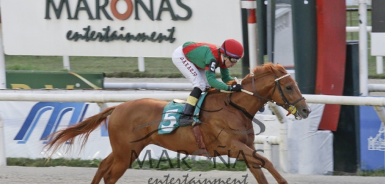 Viernes 9 de Octubre de 2015 - Hipódromo Nacional de Maroñas