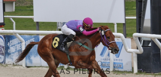 Sábado 10 de Octubre de 2015 - Hipódromo Las Piedras