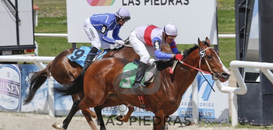 Sábado 17 de Octubre de 2015 - Hipódromo Las Piedras