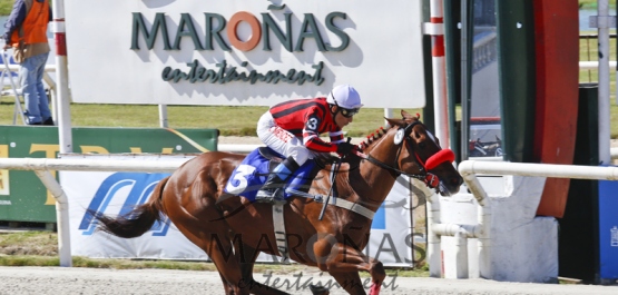 Domingo 18 de Octubre de 2015 - Hipódromo Nacional de Maroñas