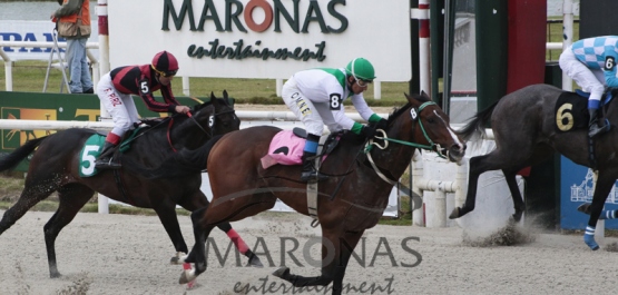 Domingo 25 de Octubre de 2015 - Hipódromo Nacional de Maroñas