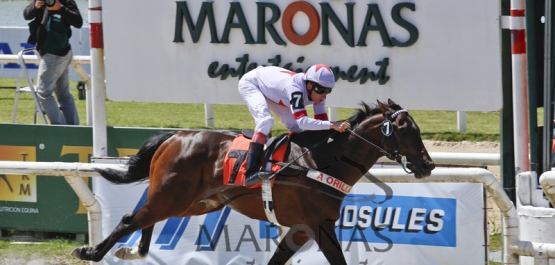 Sábado 31 de Octubre de 2015 - Hipódromo Nacional de Maroñas