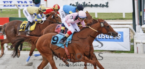 Domingo 1º de Noviembre de 2015 - Hipódromo Nacional de Maroñas