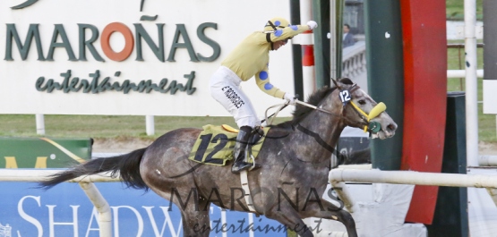 Sábado 7 de noviembre de 2015 - Hipódromo Nacional de Maroñas