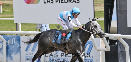 Domingo 8 de noviembre de 2015 - Hipódromo Las Piedras