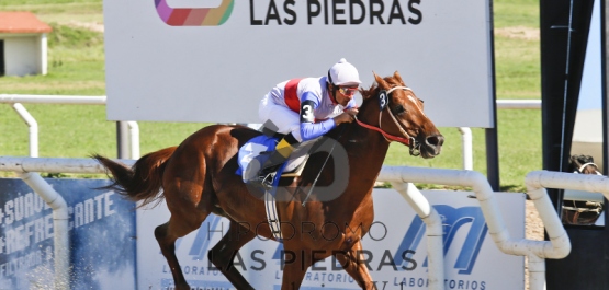 Sábado 14 de Noviembre de 2015 - Hipódromo Las Piedras