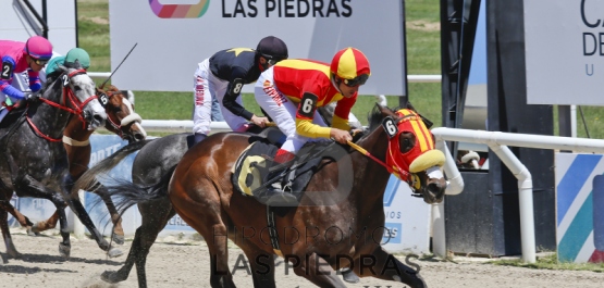 Sábado 21 de Noviembre de 2015 - Hipódromo Las Piedras