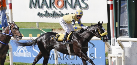 Domingo 22 de Noviembre de 2015 - Hipódromo Nacional de Maroñas