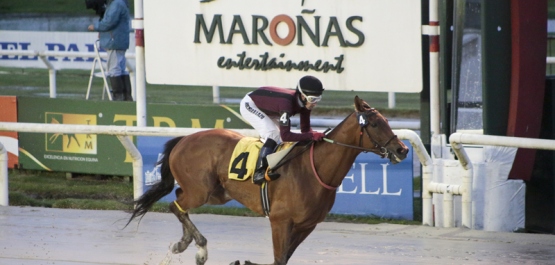 Viernes 27 de Noviembre de 2015 - Hipódromo Nacional de Maroñas