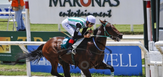 Domingo 27 de Diciembre de 2015 - Hipódromo Las Piedras