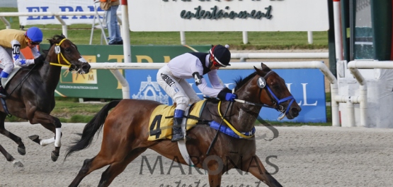 Domingo 3 de Enero de 2016 - Hipódromo Nacional de Maroñas