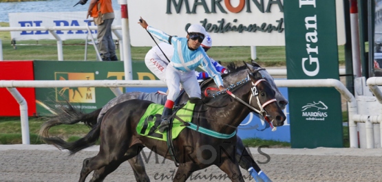 GRAN PREMIO PEDRO PIÑEYRUA